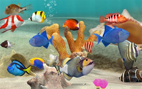 Fish Farm 3 .